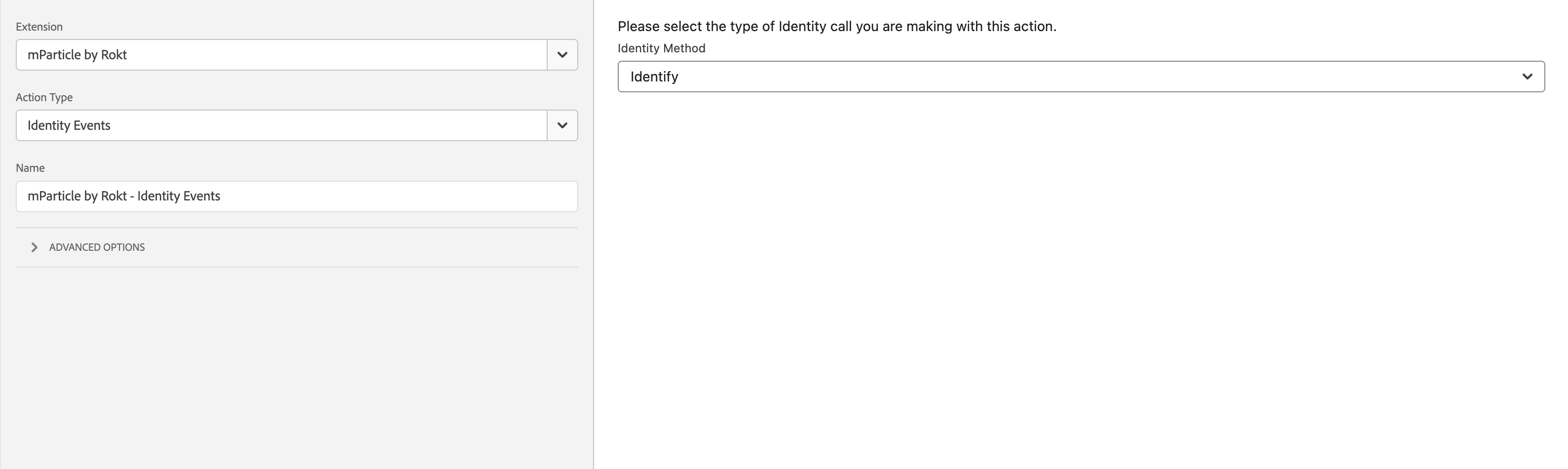 adobe-action-page-identify