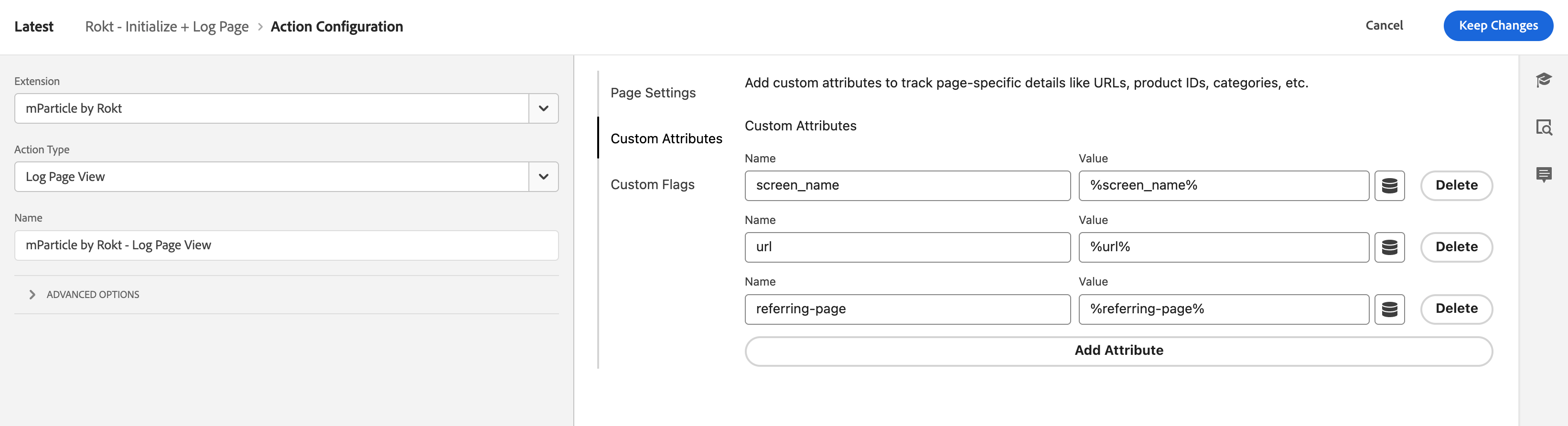 adobe-log-page-action-attributes