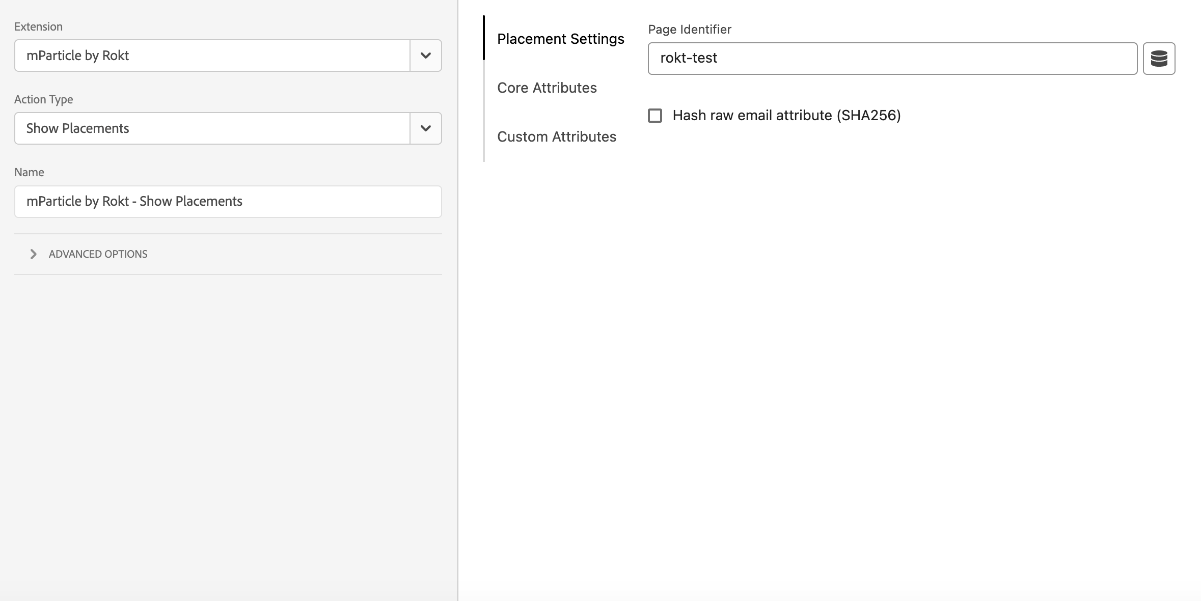 adobe-show-placement-action