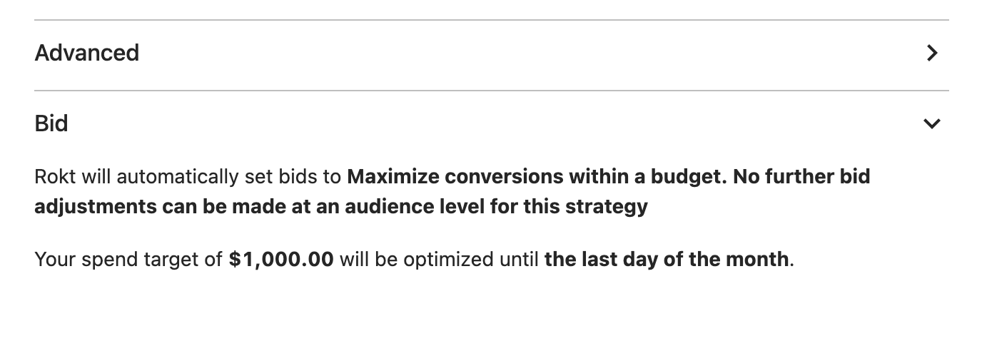 audience bid section maximize conversions strategy